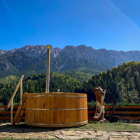 Panorama Pietrei Craiului Otel Zărneşti Dış mekan fotoğraf