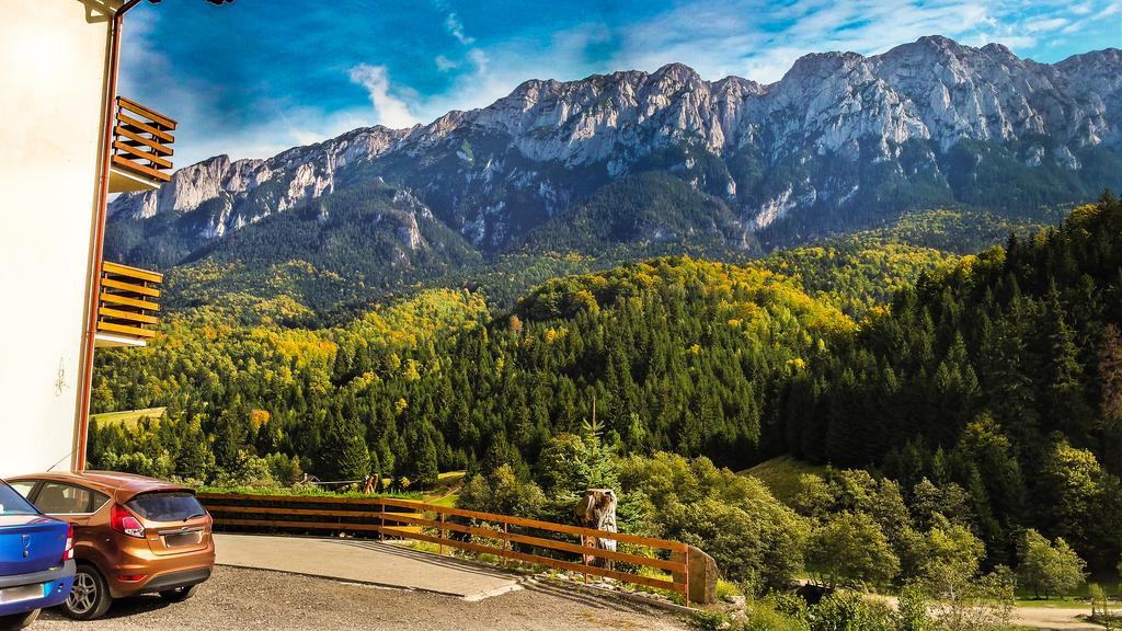 Panorama Pietrei Craiului Otel Zărneşti Dış mekan fotoğraf
