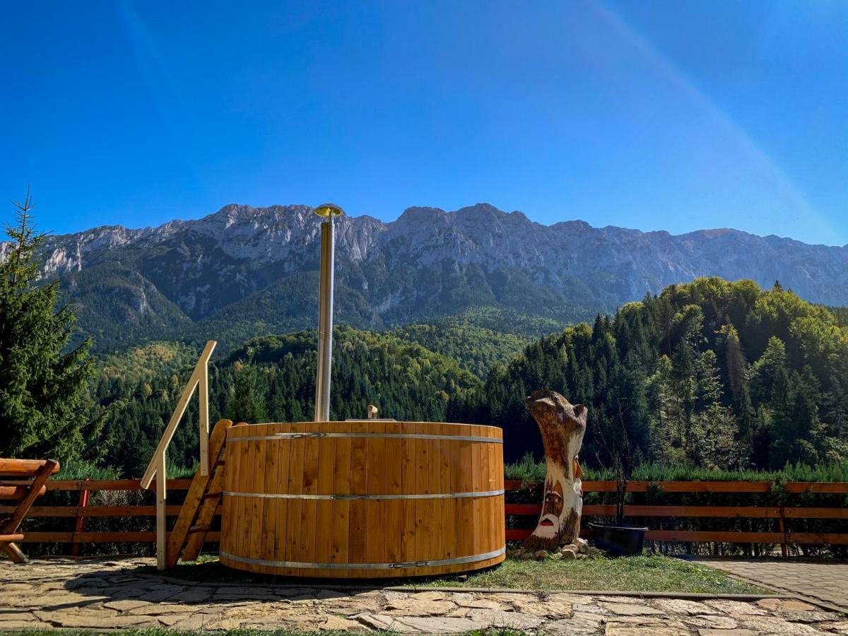 Panorama Pietrei Craiului Otel Zărneşti Dış mekan fotoğraf